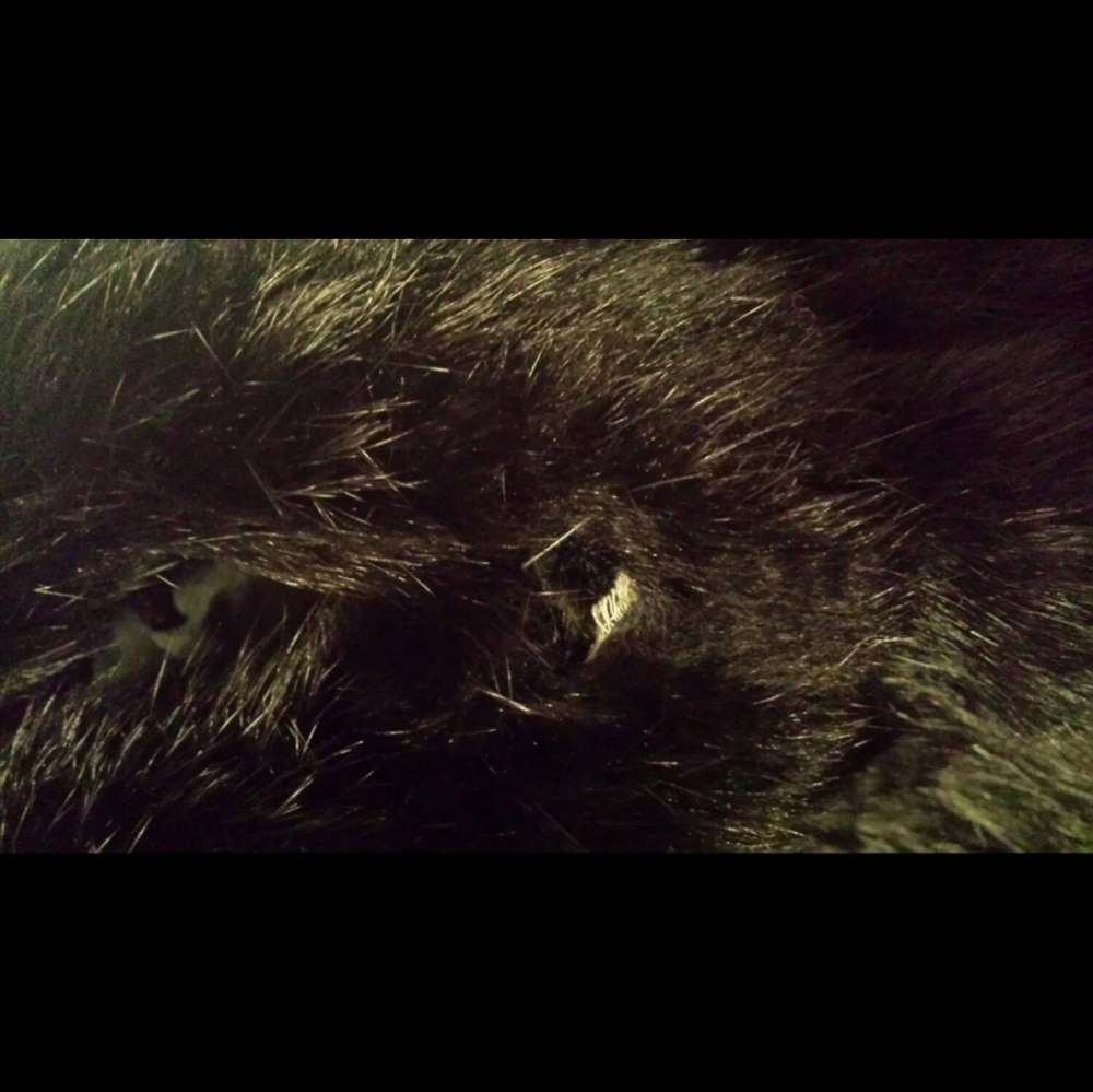 100% Authentic Rabbit Fur Coat - Picture 5 of 8